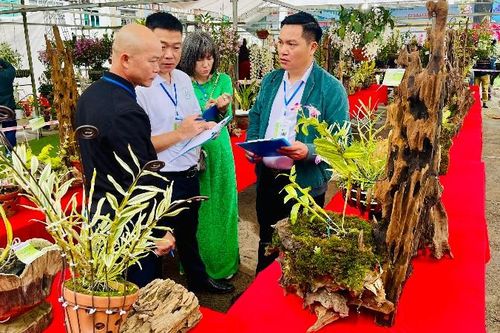 Hương sắc Lai Châu năm 2025