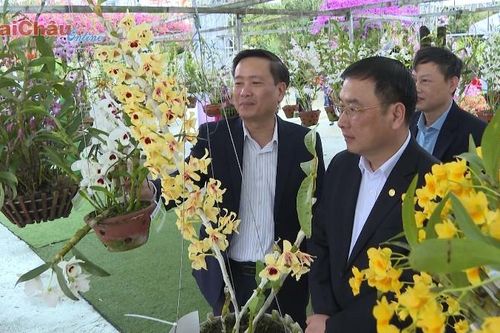 Hương sắc Lai Châu năm 2025