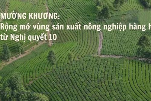 Rộng mở vùng sản xuất nông nghiệp hàng hóa từ Nghị quyết 10
