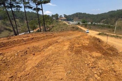 Đà Lạt: Bị lập biên bản vì san gạt 1.300 mét vuông đất rừng