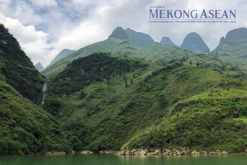Sản xuất thủy sản, gỗ là điểm sáng nông nghiệp trong quý 1