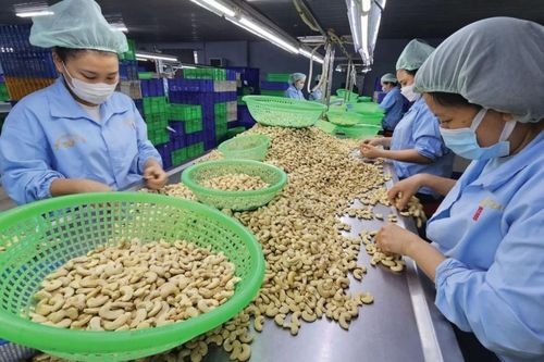Tận dụng khủng hoảng để cải cách nội tại và thay đổi tư duy xuất khẩu