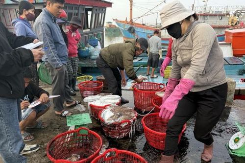 Đẩy mạnh ứng dụng công nghệ số trong khai thác thủy sản