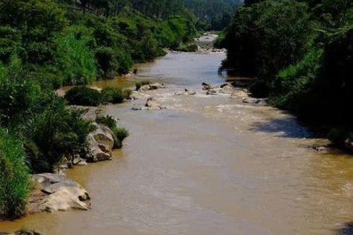 Phó Chủ tịch xã tử vong khi đi tuần tra trên sông