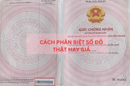 Người đàn bà chiếm đoạt tiền tỷ bằng thủ đoạn thuê người làm giả 'sổ đỏ'