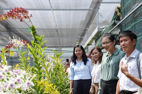 Nông nghiệp công nghệ cao ở 'vùng đất thép'