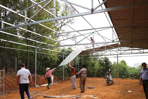 Phú Thọ: Tháo dỡ công trình trục lợi trong bồi thường, giải phóng mặt đường dây 500KV Lào Cai Vĩnh Yên
