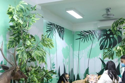 Nơi lưu giữ mẫu hổ Đông Dương, voi châu Á mở cửa đón khách tham quan miễn phí