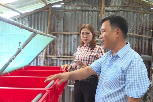 Chuyện về tiến sĩ 'cua'