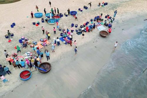 Bình minh chợ cá bên mép sóng