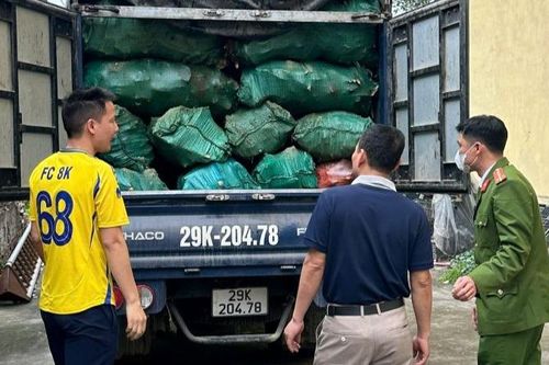 Phát hiện xe ô-tô vận chuyển xương động vật đang bị phân hủy không rõ nguồn gốc