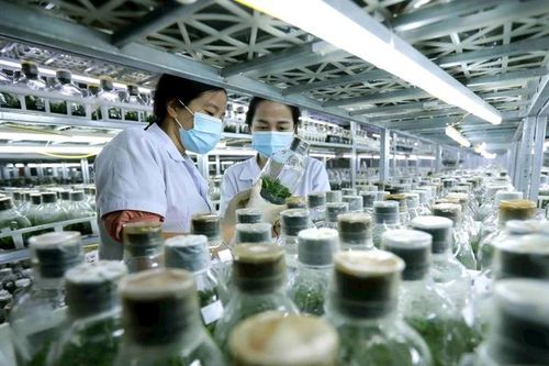 Đổi mới thủ tục hành chính để không gây khó cho các nhà khoa học