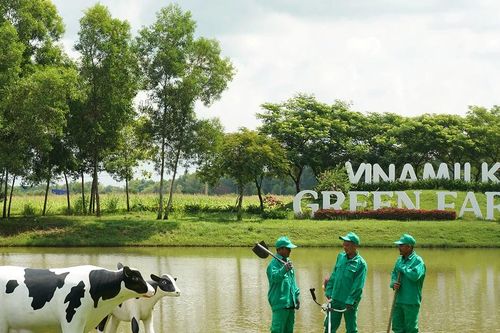 Đăng ký bảo hộ tài sản trí tuệ: Lợi thế cho doanh nghiệp chinh phục thị trường