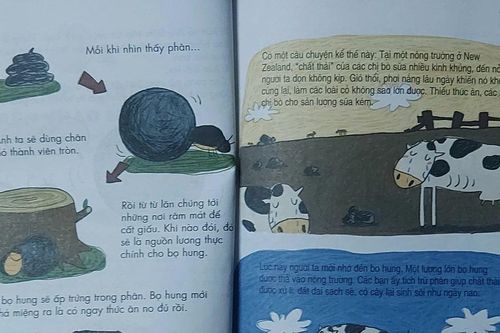 Từ trang sách: Vi vu vườn nhà