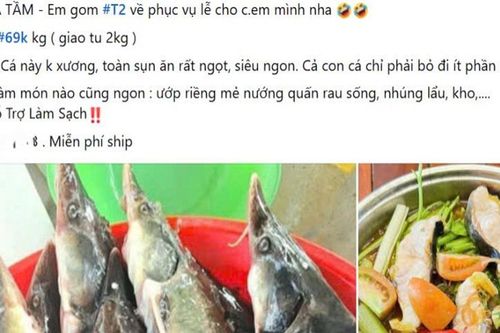 Đằng sau 'món hời' cá tầm bán rẻ trên mạng xã hội