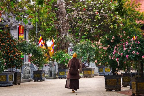 Ngôi chùa đẹp lạ có nhiều cổ vật ở ngoại thành Hà Nội, khách tò mò tới tham quan