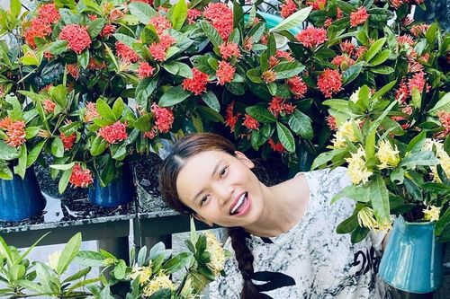 Nhà vườn của nghệ sĩ nào có diện tích lớn nhất?