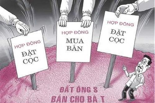 VKSND huyện Châu Thành kháng nghị bảo vệ quyền, lợi ích hợp pháp của bị đơn