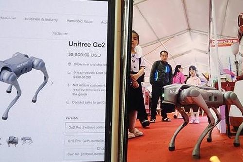Đại học Duy Tân nói gì khi chó robot có thiết kế giống hàng Trung Quốc?