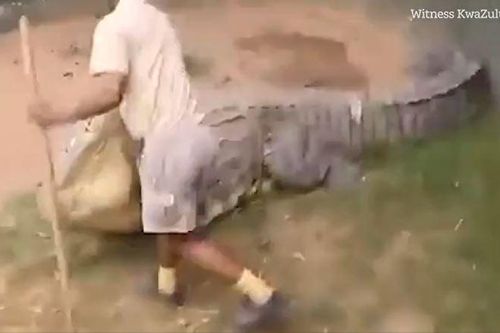 CLIP: Người đàn ông bị cá sấu khổng lồ tấn công và cái kết khó tin