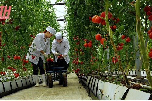 Doanh nghiệp Thanh Hóa hướng đến chuyển đổi xanh