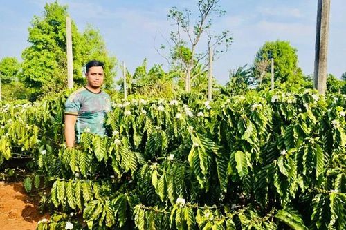 Làm giàu từ mô hình nông nghiệp sạch