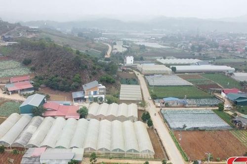 Sản xuất thích ứng với biến đổi khí hậu