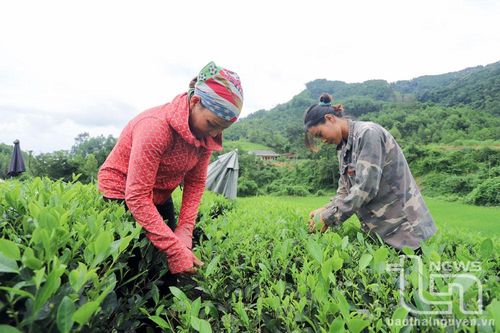 Đa dạng hóa hoạt động để thu hút hội viên