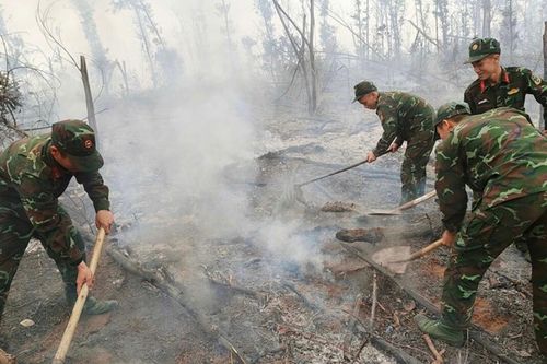 Quảng Ninh ngăn chặn kịp thời đám cháy rừng xảy ra tại TP Hạ Long