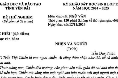Truyện 'Nhện và người' vào đề khảo sát môn Ngữ văn 12