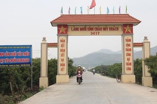 Vị ngọt thôn Muối