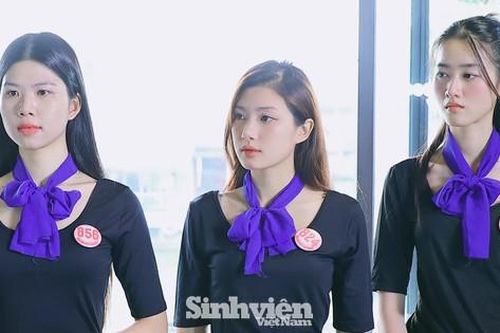 Dàn thí sinh 'Hoa hậu Việt Nam' 2024 gây 'sốt' với chiều cao 'khủng', đồng đều như người mẫu chuyên nghiệp