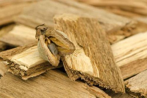 Nhặt được khúc gỗ lạ, hóa ra 'báu vật' cả đời không dám nghĩ
