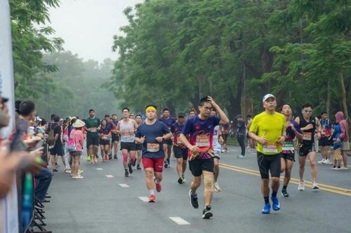Bác sĩ cảnh báo nguy cơ đột ngột ngừng tim khi chạy marathon