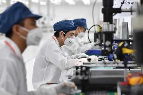 Phát triển các ngành khoa học cơ bản: Tổng hòa nhiều chính sách