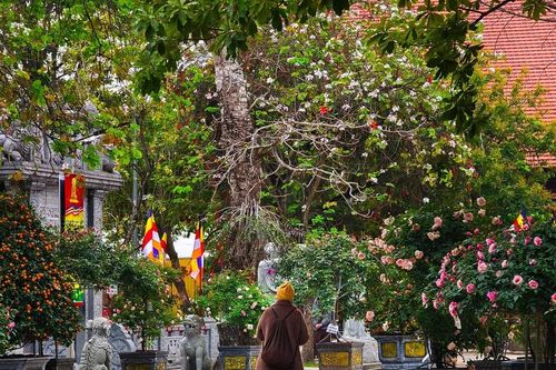 Không gian ngôi chùa đẹp lạ có nhiều cổ vật ở ngoại thành Hà Nội