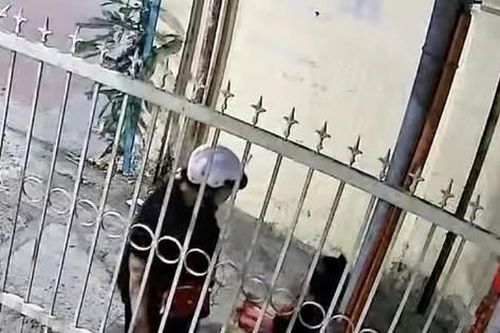 Sự thật đằng sau clip bé trai bị người thân đánh tới tấp vì bán không hết hàng