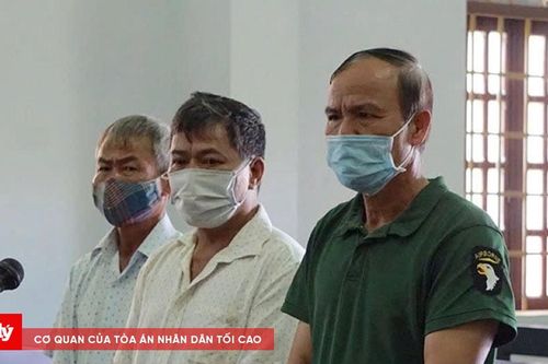 Trả hồ sơ vụ án hủy hoại rừng để điều tra bổ sung