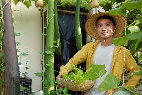 Chàng trai biến sân thượng ở TPHCM thành 'vườn chữa lành' sum sê