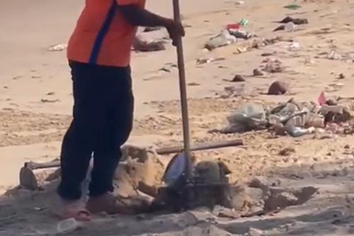 Nhân viên chôn rác xuống bãi biển Mũi Né bị phạt 3,5 triệu đồng