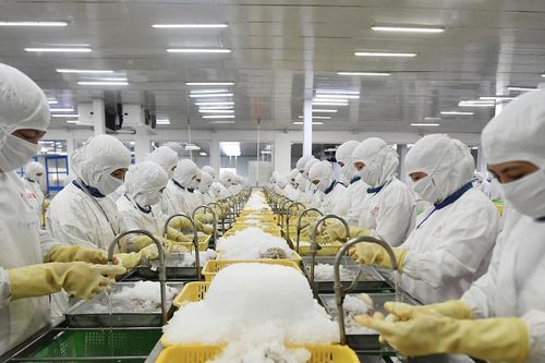 Mỹ muốn áp thuế 46%, Cục Thủy sản và Kiểm ngư khuyến cáo điều quan trọng
