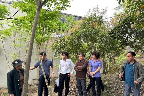 VKSND huyện Đoan Hùng tham gia xem xét, thẩm định tại chỗ tài sản tranh chấp
