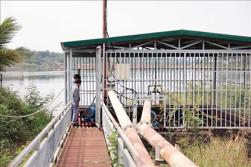 Nông dân Đắk Nông chật vật ứng phó khô hạn
