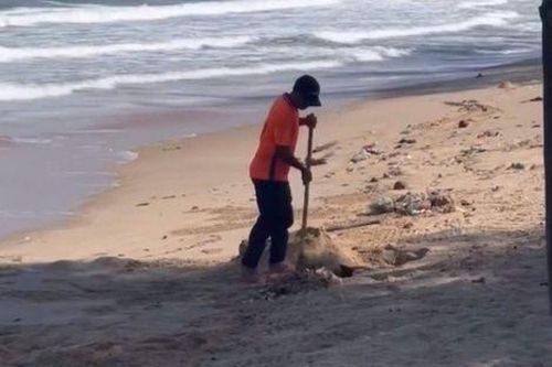 Chôn rác xuống bãi biển Mũi Né, nhân viên khu du lịch nhận kết 'đắng'