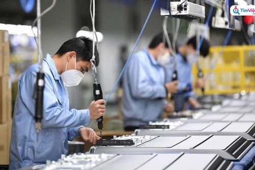 Nghệ An giải quyết việc làm cho 12.300 người