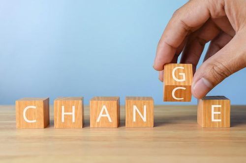 SGI Capital: 'Thị trường đang cho chúng ta quyền chọn mua doanh nghiệp tuyệt vời bị bán tháo'