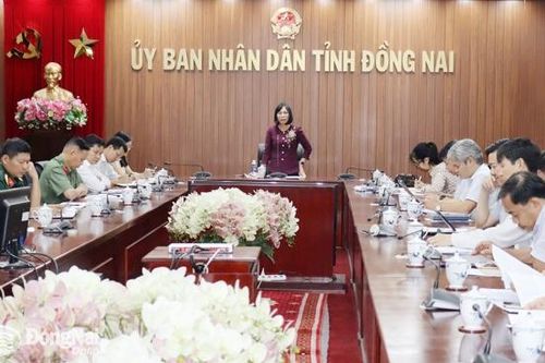 Phó chủ tịch UBND tỉnh Nguyễn Thị Hoàng làm Chủ tịch Hội đồng Thẩm định xét, công nhận nông thôn mới tỉnh Đồng Nai