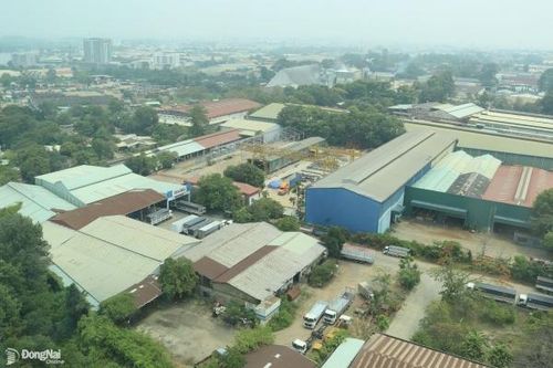 Một doanh nghiệp tại Biên Hòa bị đình chỉ hoạt động và buộc di dời cơ sở vì không có giấy phép môi trường