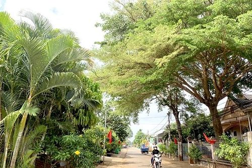 Toàn tỉnh có 81 khu dân cư kiểu mẫu