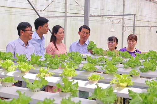 Tình hình kinh tế - xã hội tỉnh nhà tiếp tục khởi sắc